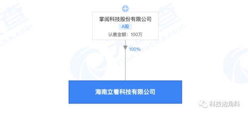 掌閱科技海南新設子公司 布局科技中介服務，注冊資本100萬元